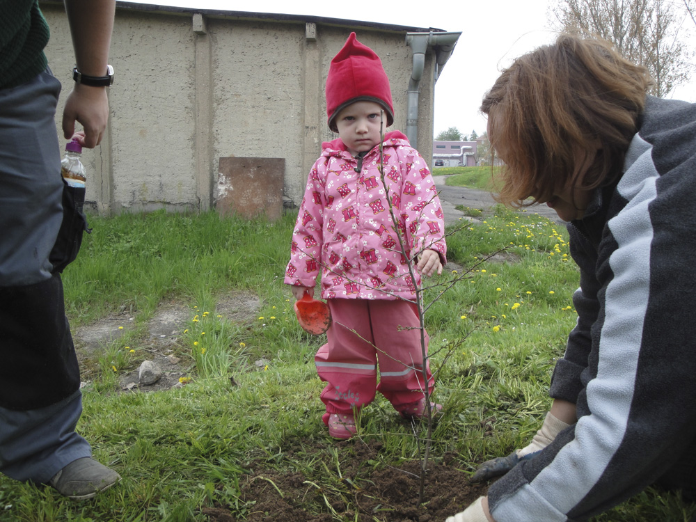 Gartenarbeit 03.05.13