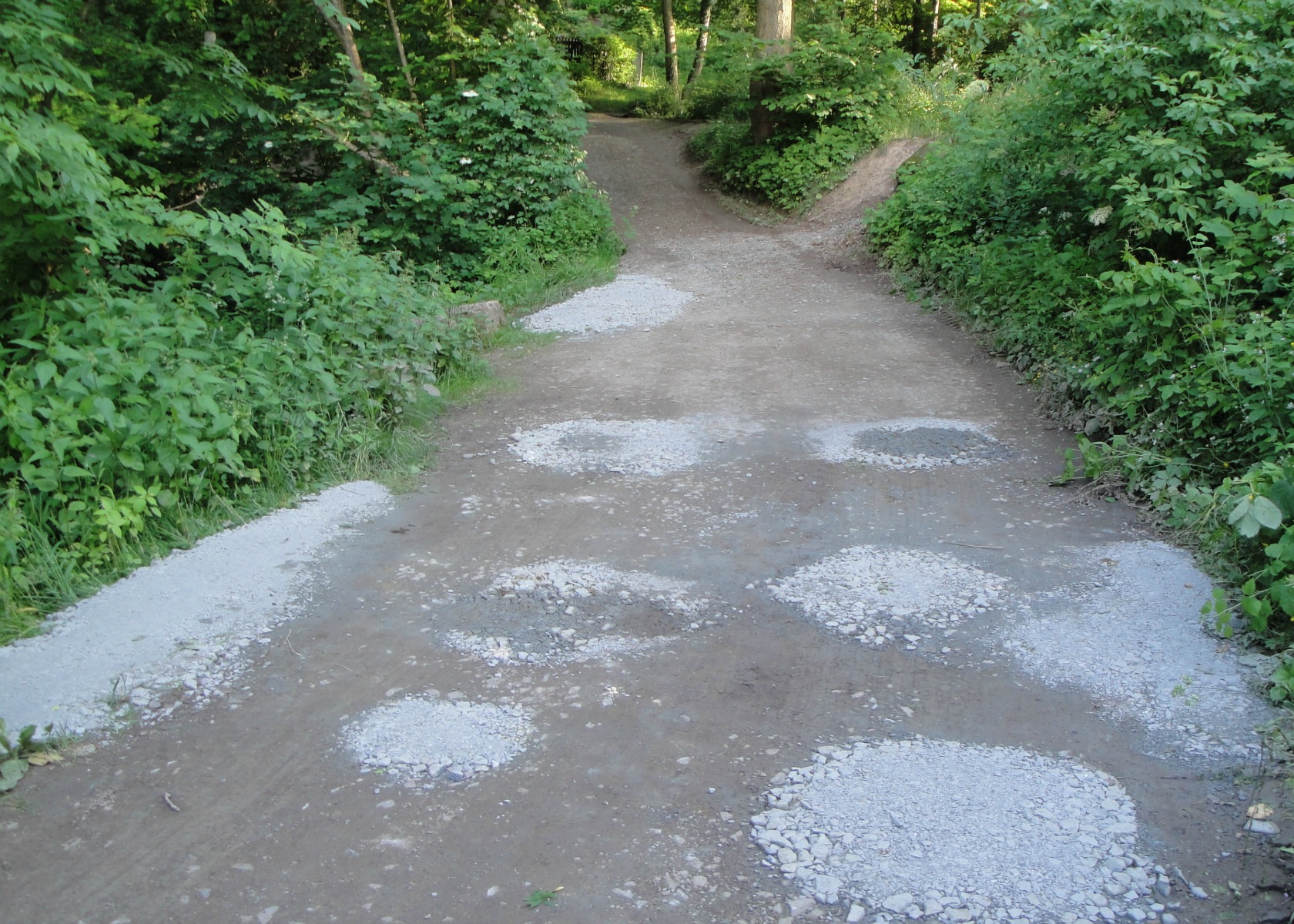 Schadensbehebung Trießnitz