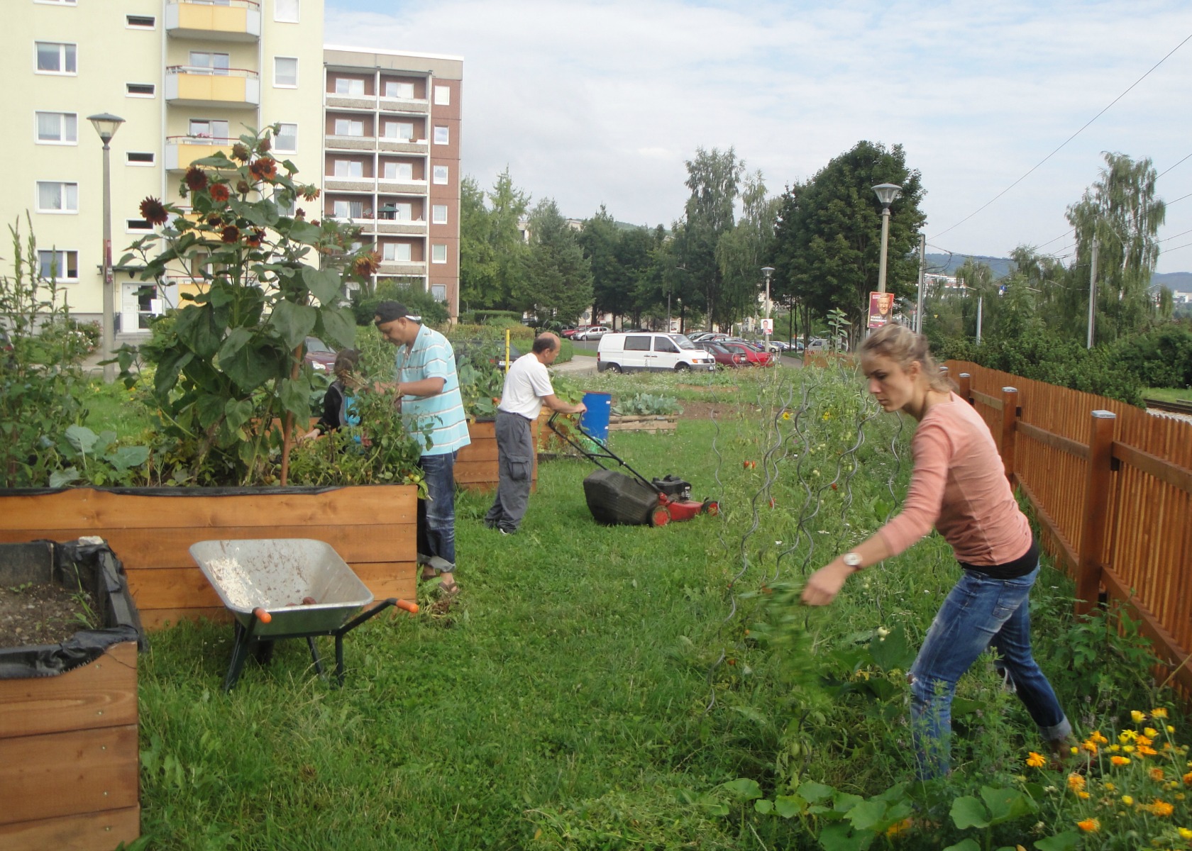Jena Winzerla. Arbeitseinsatz 20.08.13
