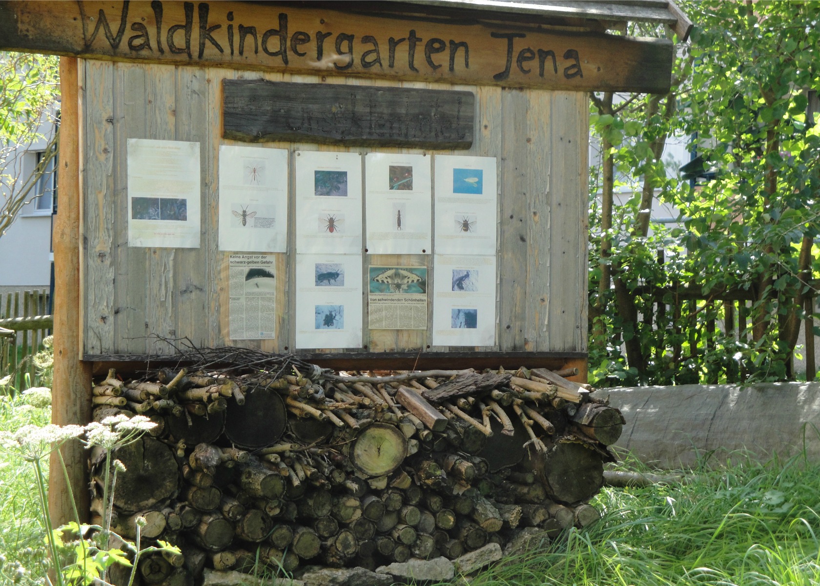 Jena Winzerla. Waldkindergarten