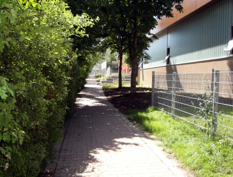 Jenalog Sträucher WinCenter nachher