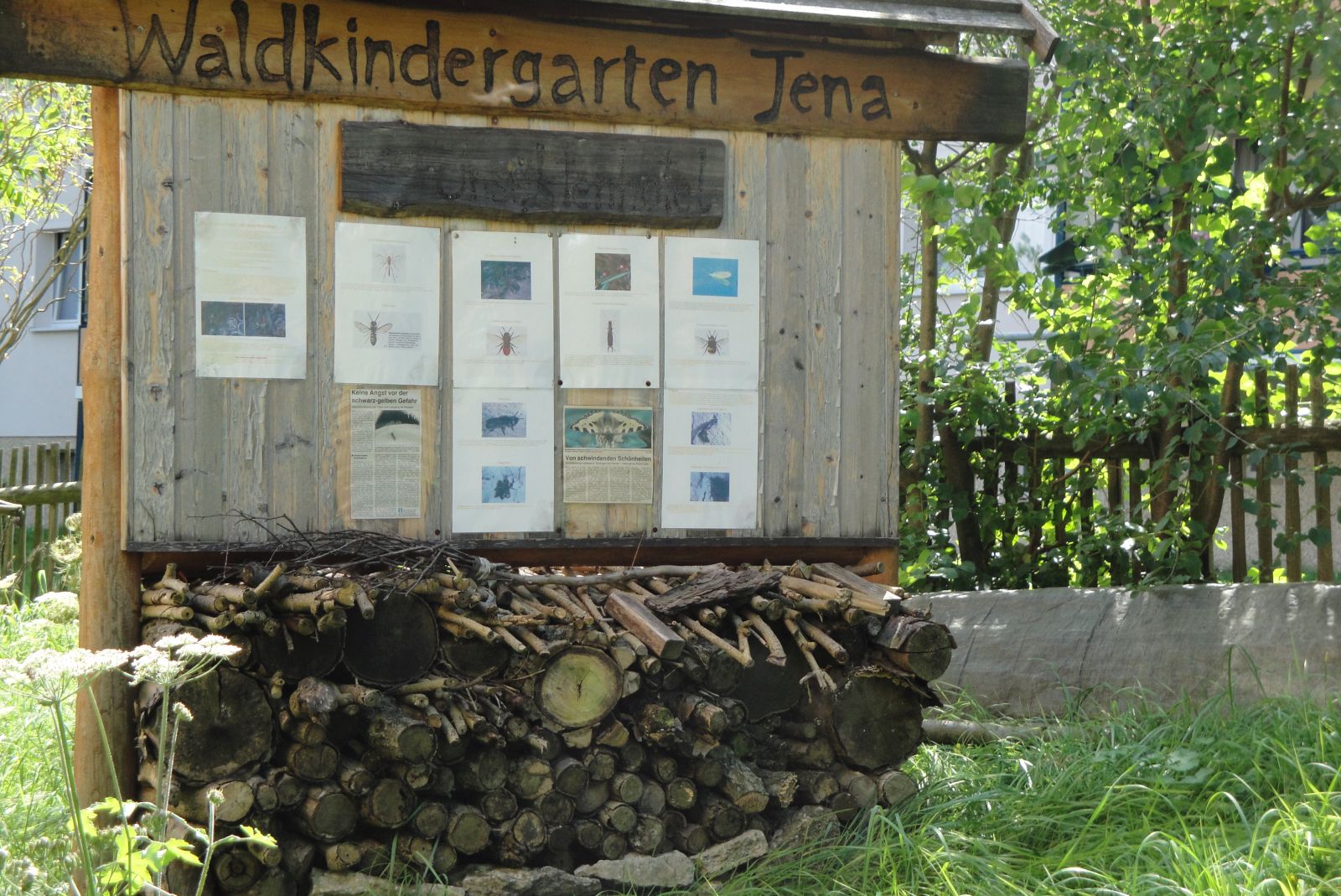 Jena Winzerla. Waldkindergarten