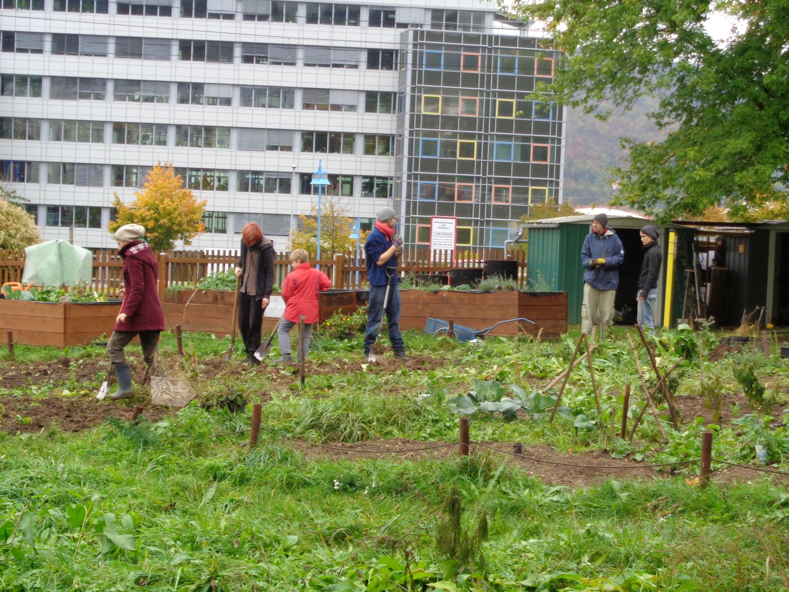 Jena Winzerla. Umgraben im Stadtteilgarten Winzerla