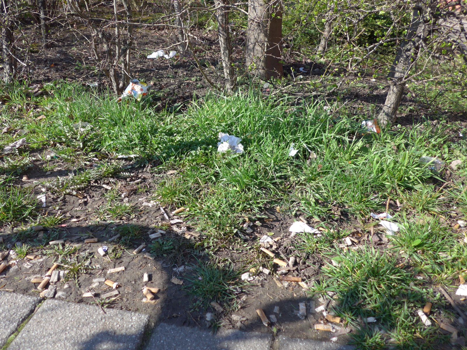 Jena Winzerla. Thema Müll Aktion