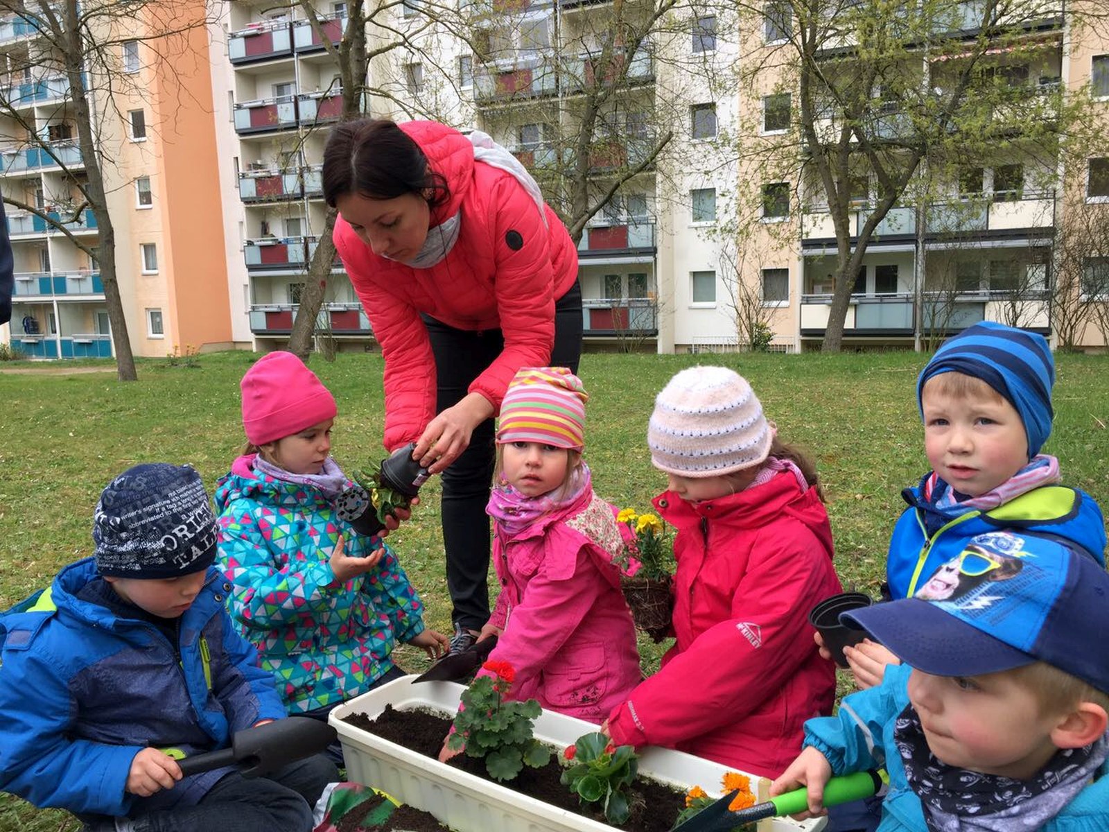 Jena Winzerla. Balkonbepflanzung