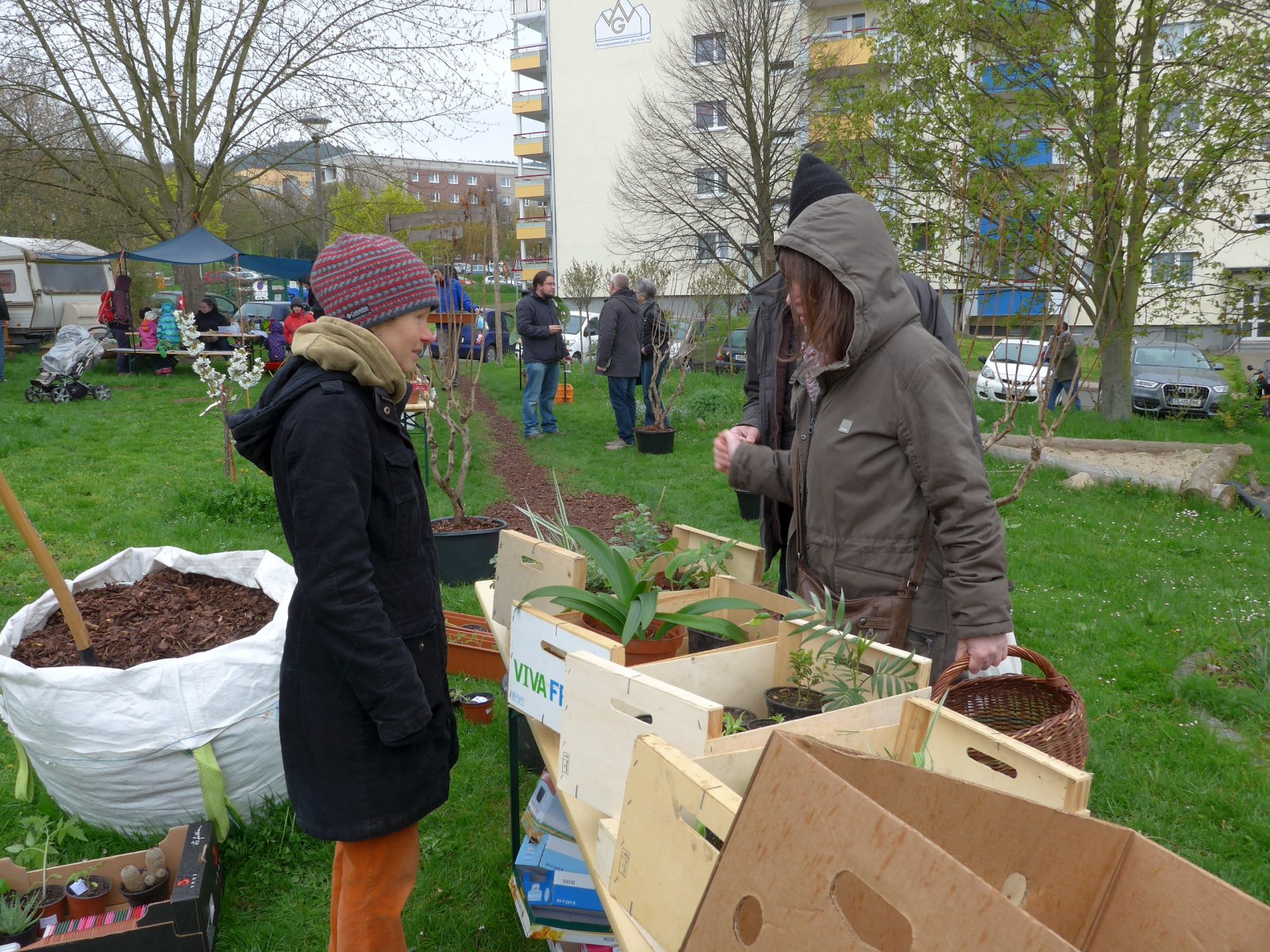 Jena Winzerla. Pflanzentauschbörse