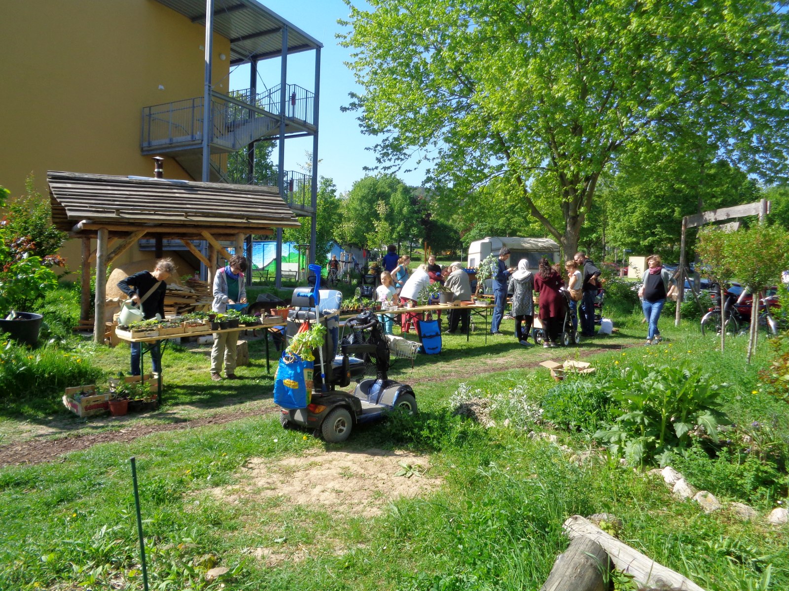Jena Winzerla. Pflanzentauschbörse