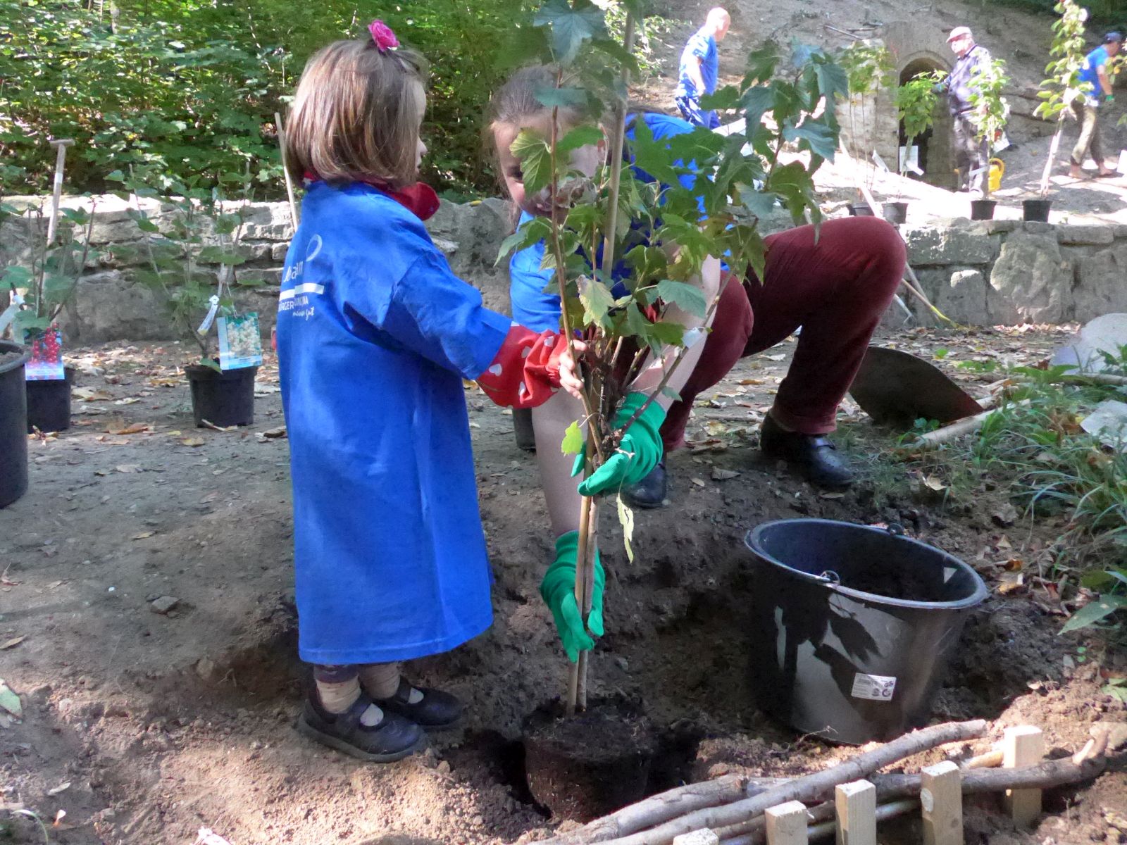 Jena Winzerla. Freiwilligentag Pflanzaktion