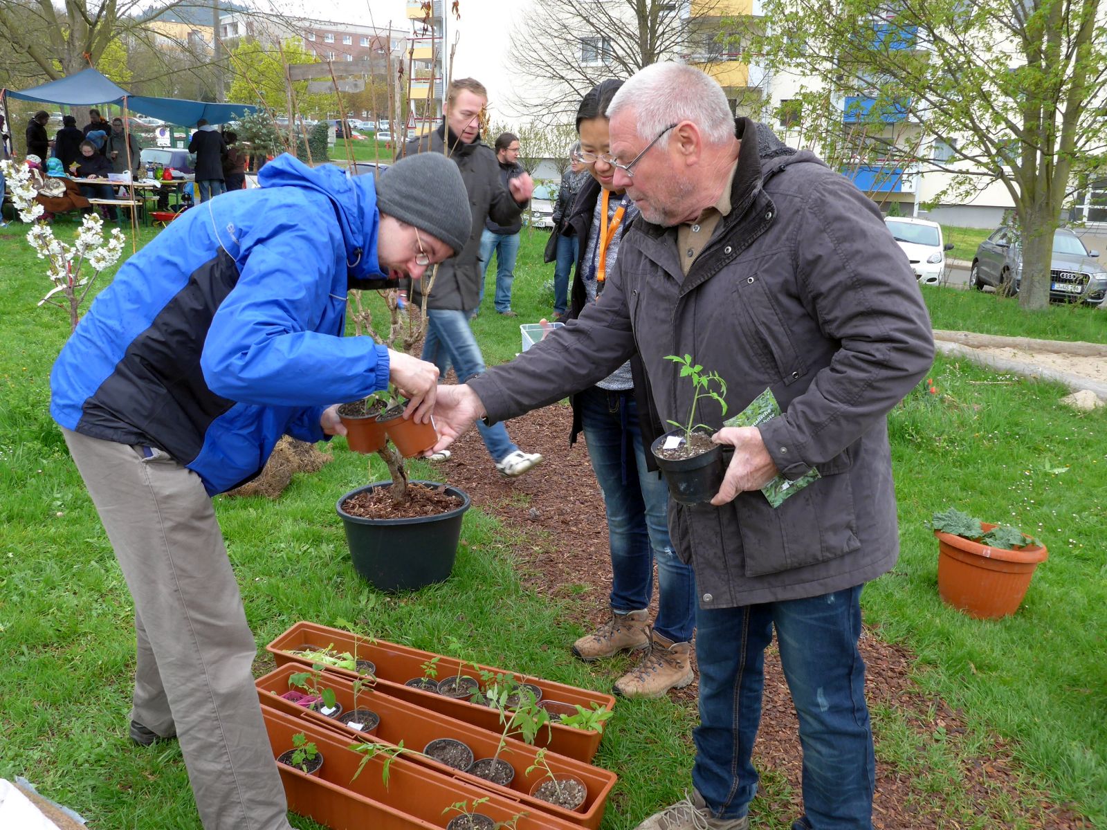 Jena Winzerla. Pflanzentauschbörse 2019