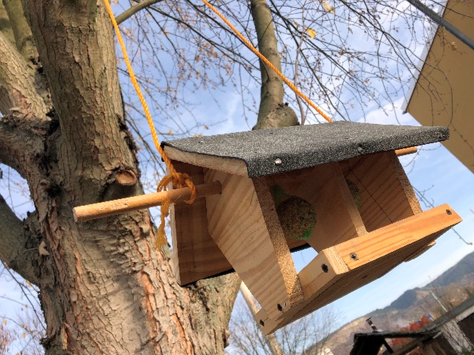 Jena Winzerla. Vogelhaus