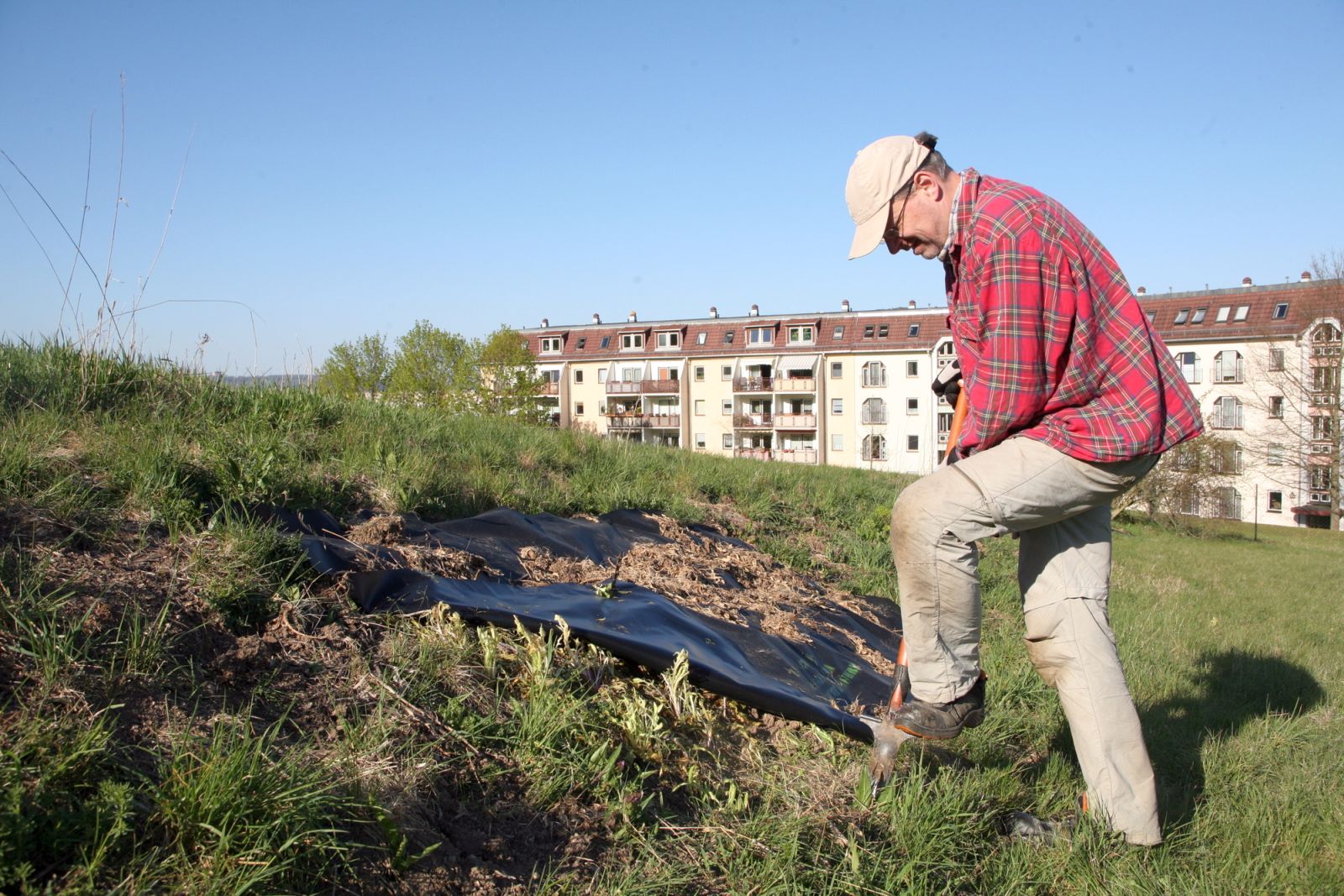 Jena Winzerla. Gunnar Brehm und die Zackenschote