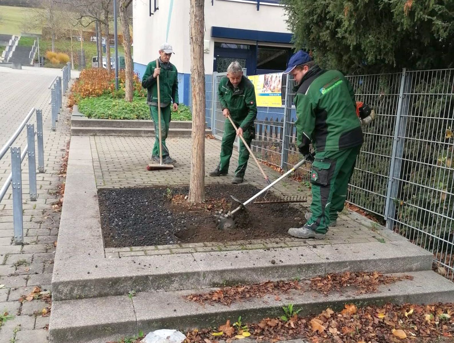 Jena Winzerla. Baumersatz Wasserachse
