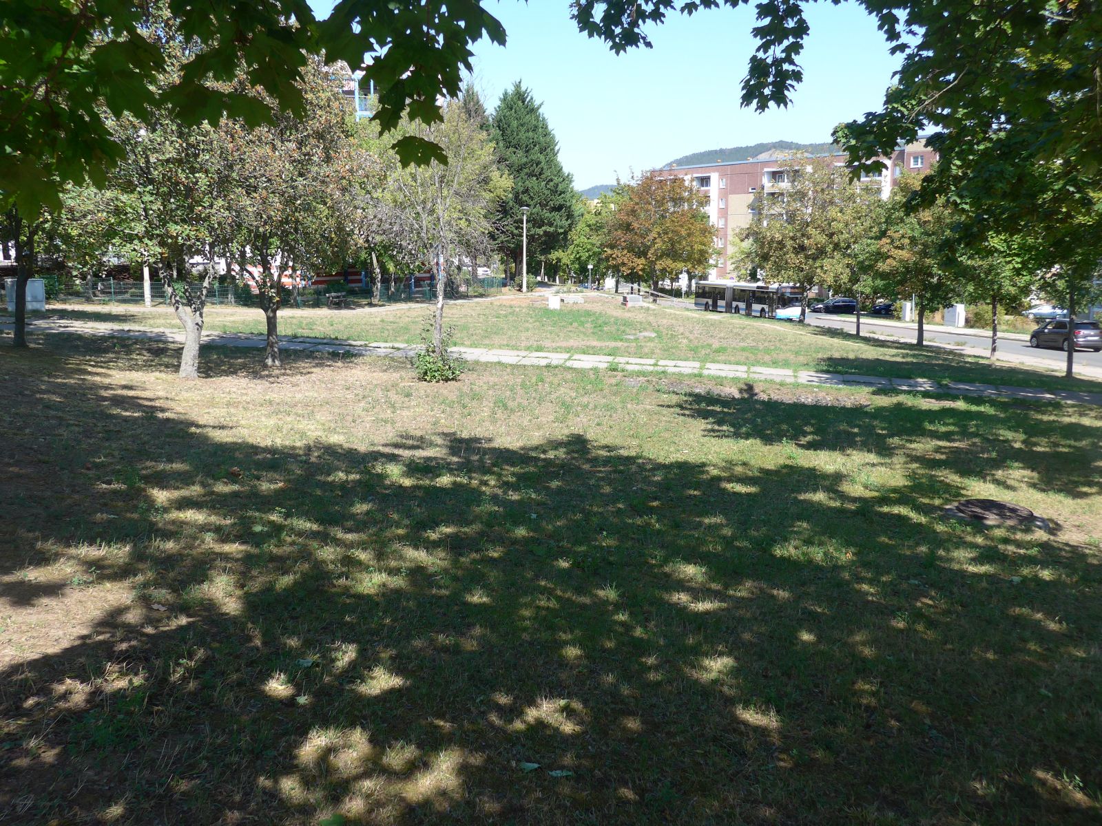 Jena Winzerla. Zuckerwiese ohne Menschen